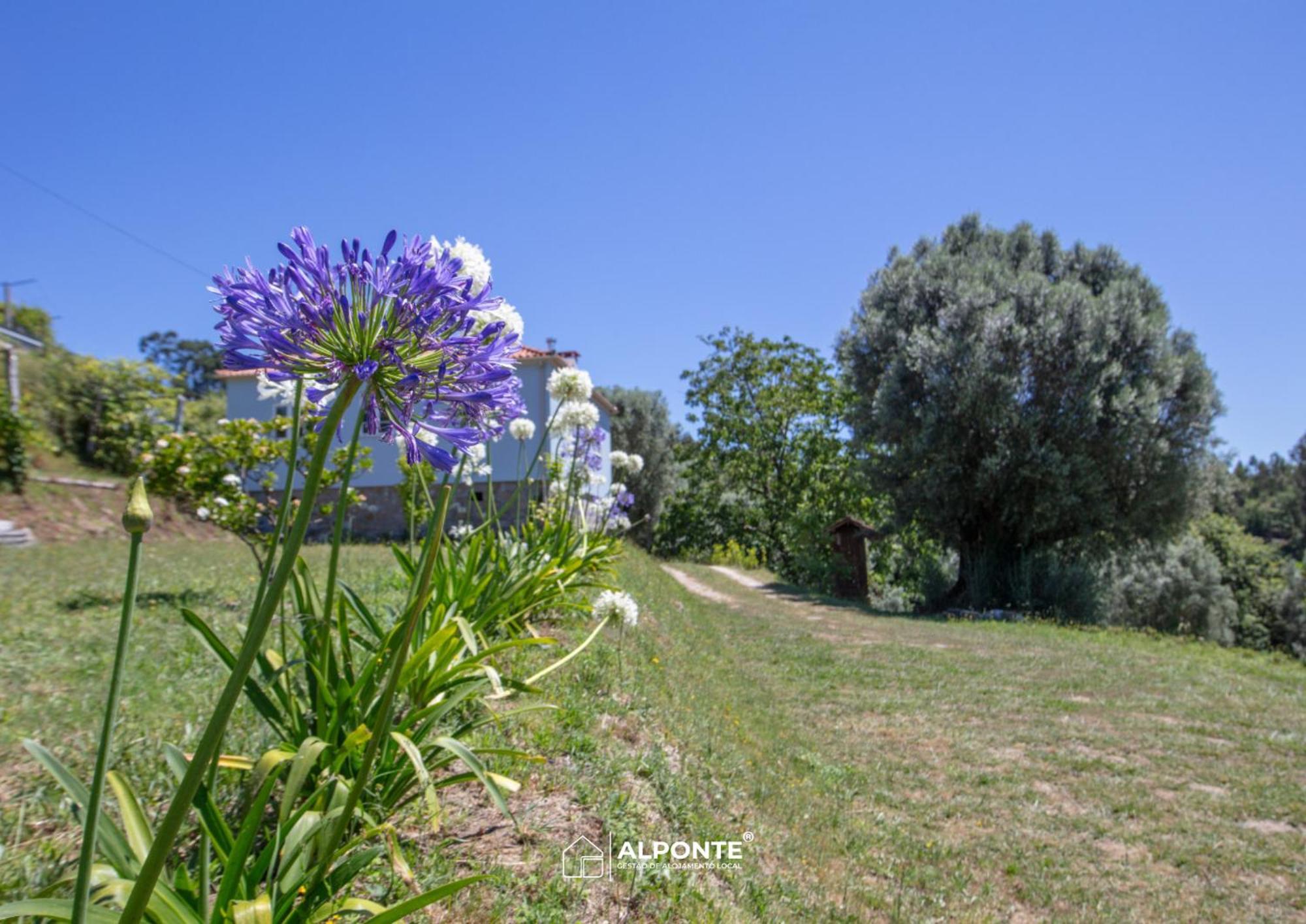 Quinta Da Costeira - Casa Azul Do Limoal By Alponte Villa Arcos de Valdevez Exteriör bild